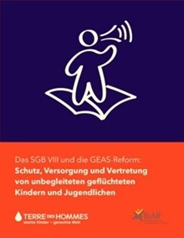 Cover: Schutz, Versorgung und Vertretung von unbegleiteten Kindern und Jugendlichen 