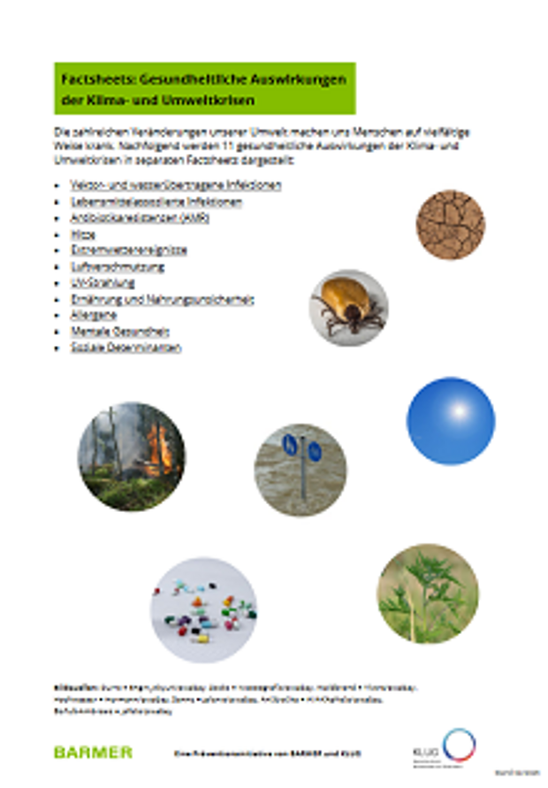 Cover der Fact Sheets