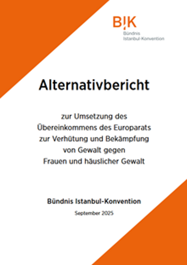 Cover: Alternativbericht zur Umsetzung des Übereinkommens des Europarats zur Verhütung und Bekämpfung von Gewalt gegen Frauen und häuslicher Gewalt