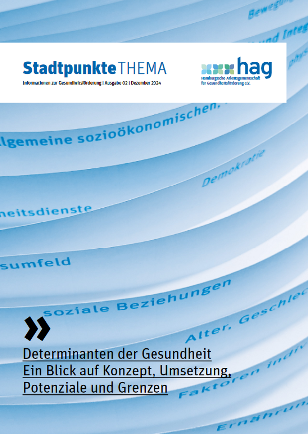 Cover der Publikation