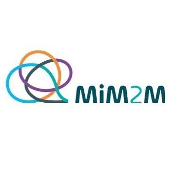 Logo MIM2M