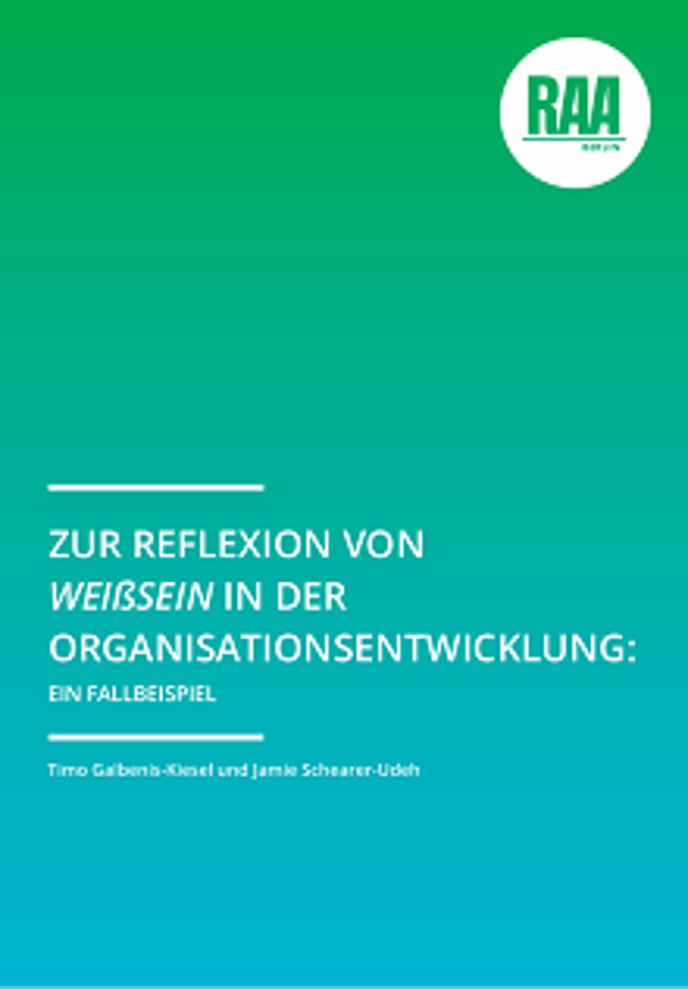 Cover: Zur Reflexion von Weißsein in der Organisationsentwicklung: Ein Fallbeispiel 