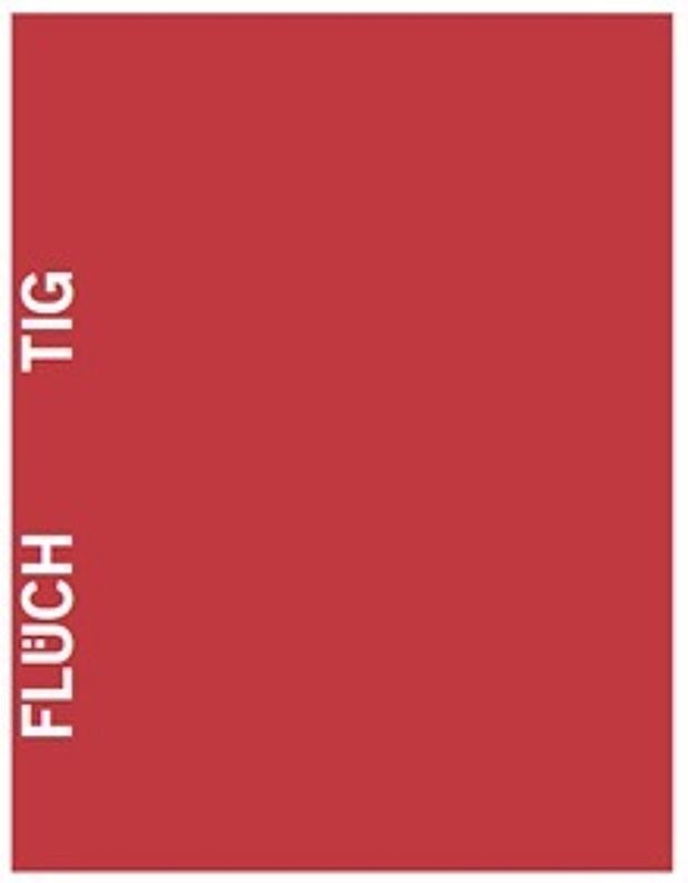 Cover: Flüchtig