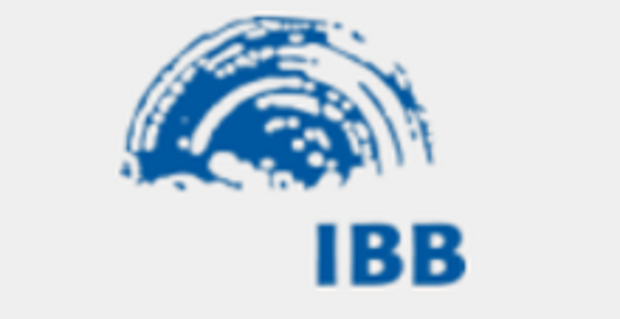 Logo: IBB