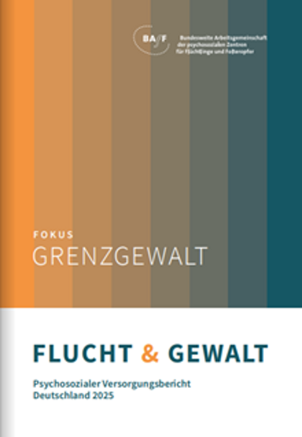 Cover: Flucht & Gewalt – Grenzgewalt