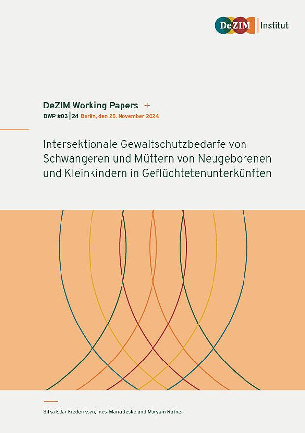 Cover Arbeitspapier DeZIM