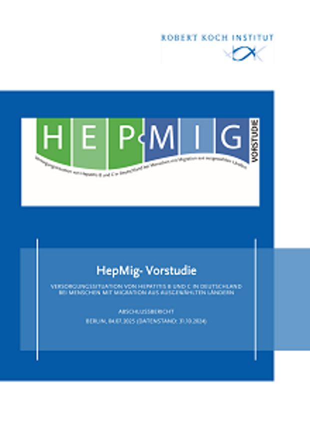 Cover: HepMig- Vorstudie