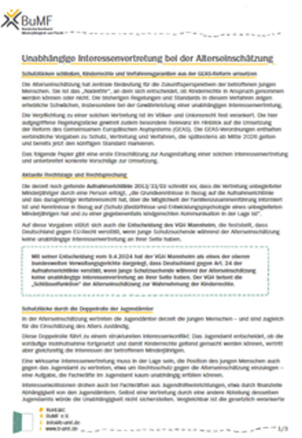 Cover: Handreichung Alterseinschätzung: Unabhängige Interessenvertretung bei der Alterseinschätzung 